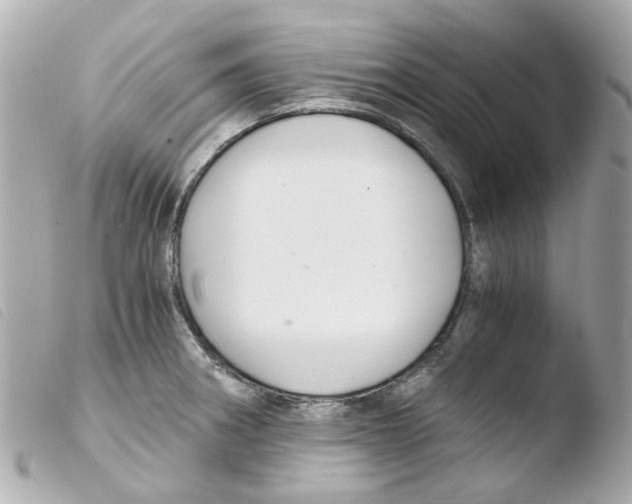 X0000103481282200810100951