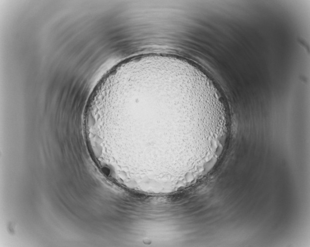 X0000103481283200810100951