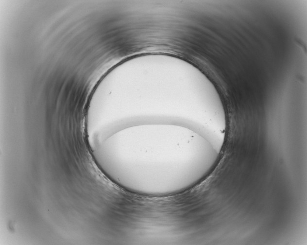 X0000103481284200810100951