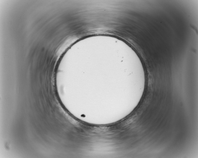 X0000103481285200810100951