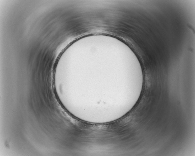 X0000103481286200810100951