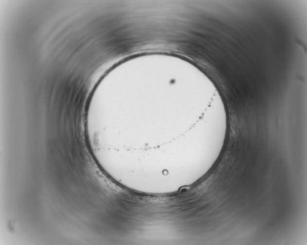 X0000103481288200810100951