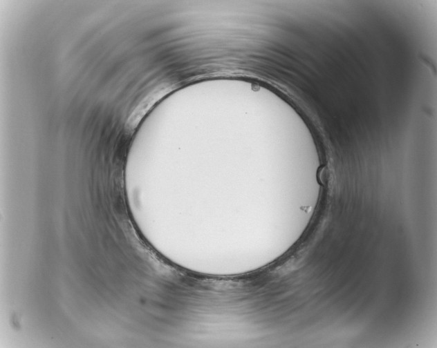 X0000103481289200810100951