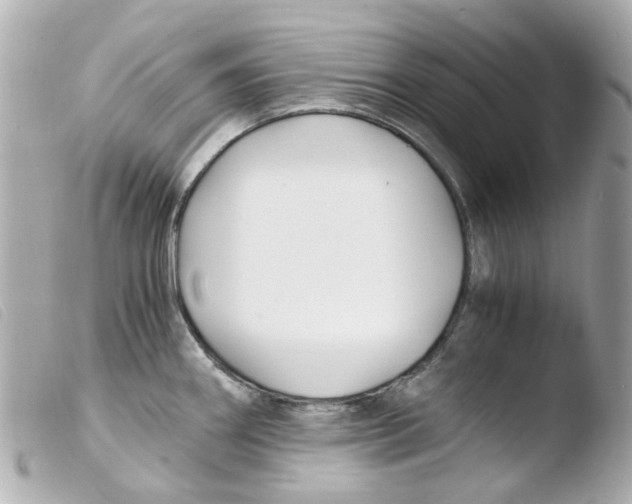 X0000103481290200810100951