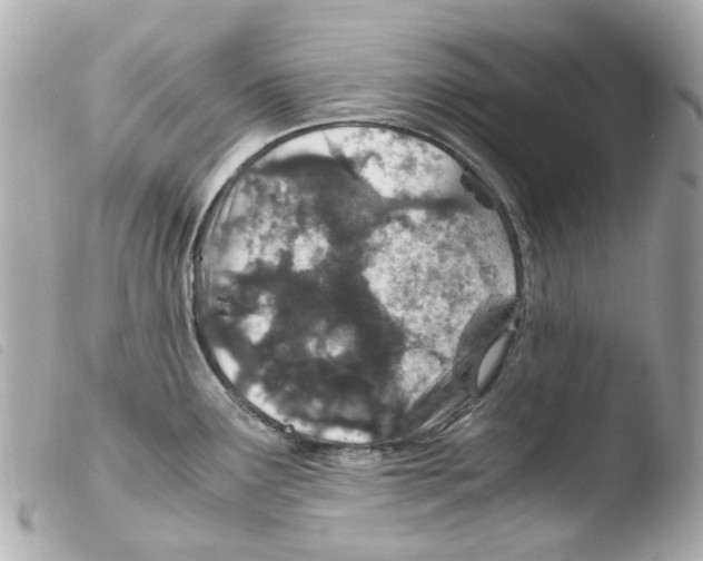 X0000103481291200810100951
