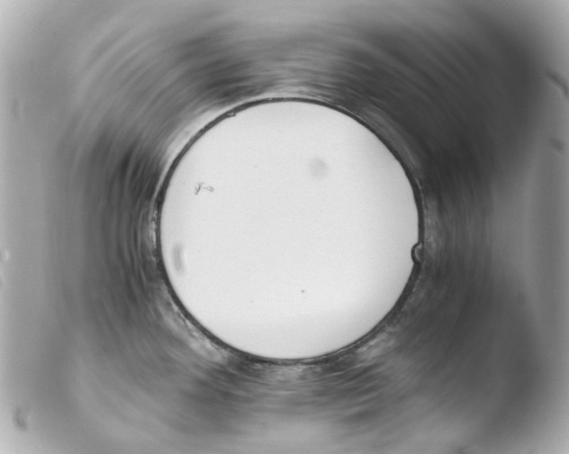 X0000103481292200810100950