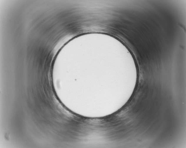 X0000103481293200810100950