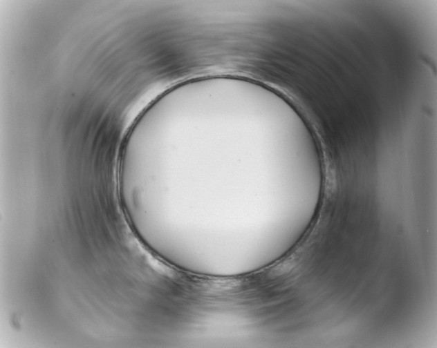 X0000103481294200810100950