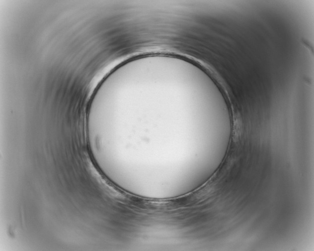 X0000103481295200810100950