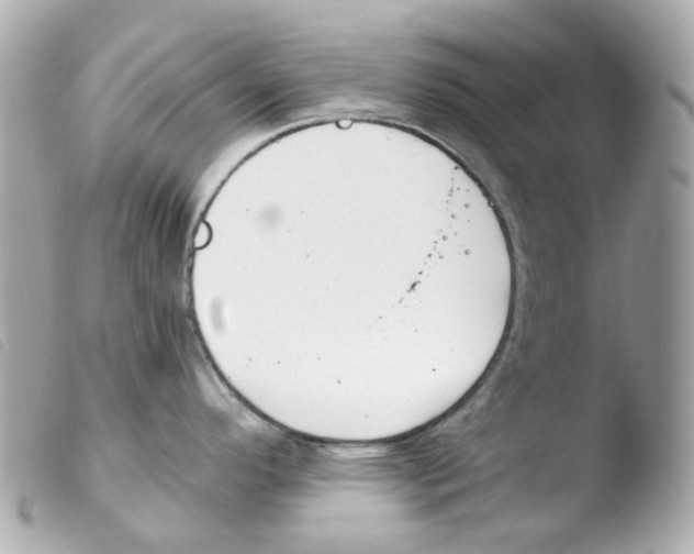 X0000103481296200810100950