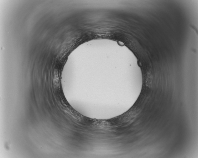 X0000103481298200810100949