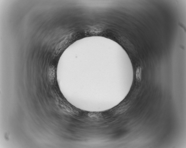 X0000103481299200810100949