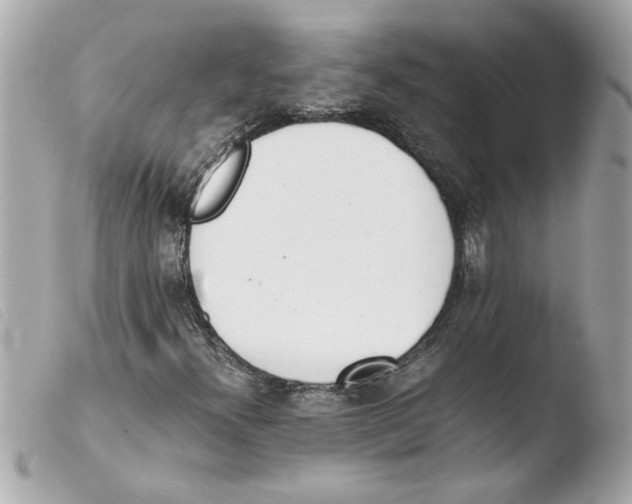 X0000103481300200810100949