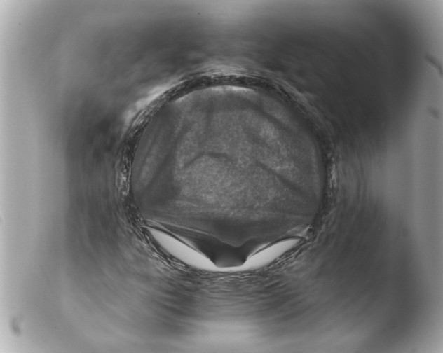 X0000103481303200810100950