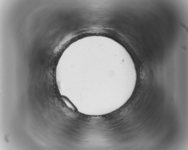 X0000103481304200810100950