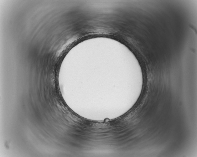X0000103481307200810100950