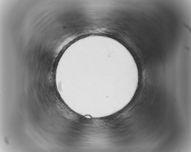 X0000103481308200810100950