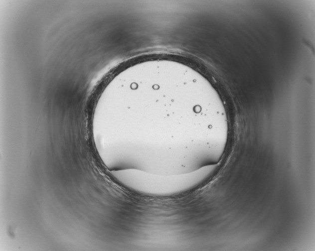 X0000103481310200810100950
