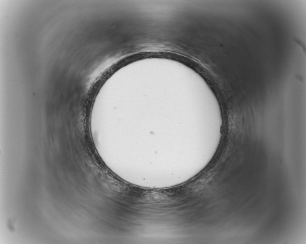 X0000103481311200810100950