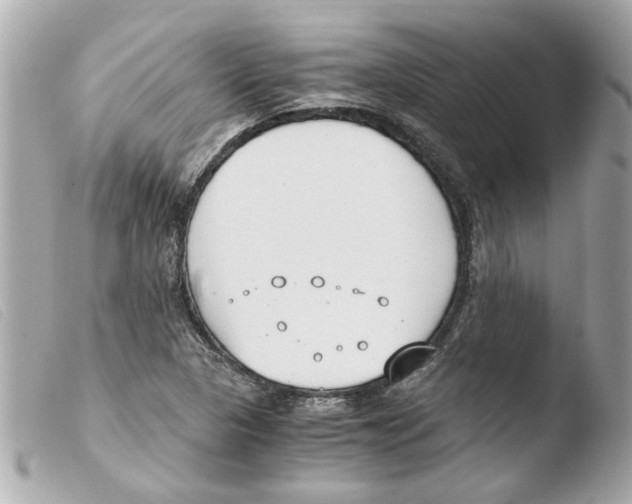 X0000103481313200810100950