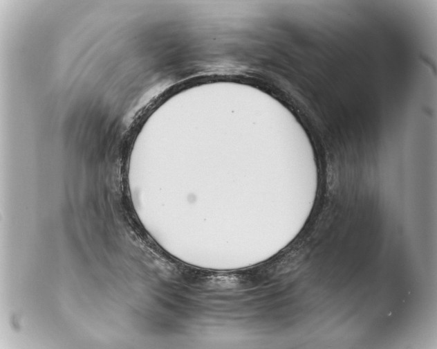 X0000103481315200810100950