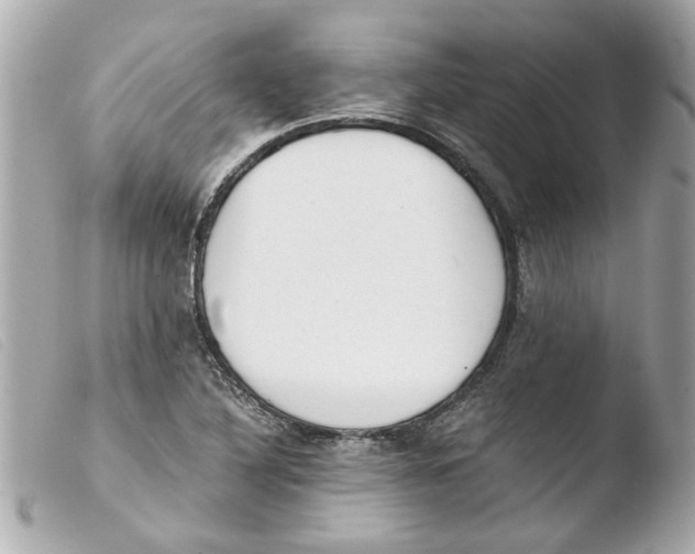 X0000103481316200810100950