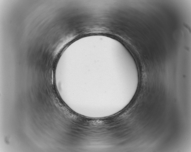 X0000103481317200810100950