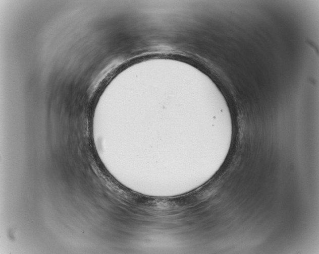 X0000103481318200810100950