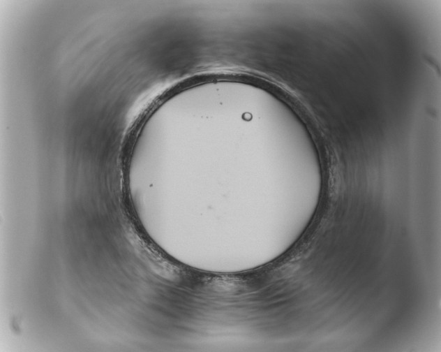 X0000103481319200810100950