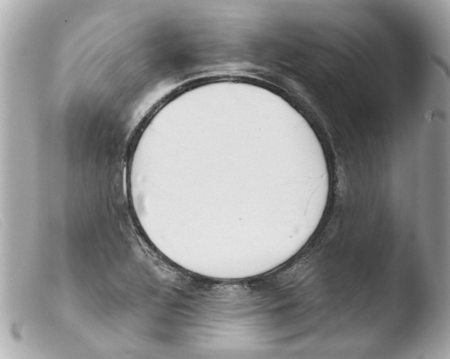 X0000103481320200810100950