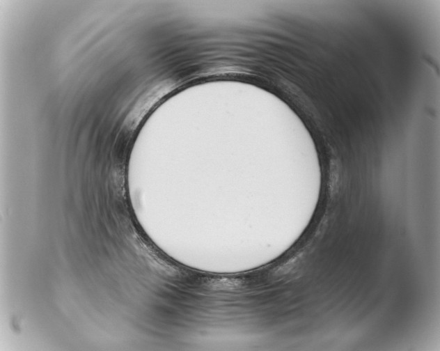 X0000103481321200810100950