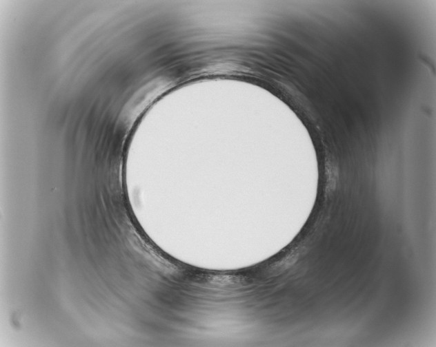 X0000103481322200810100950