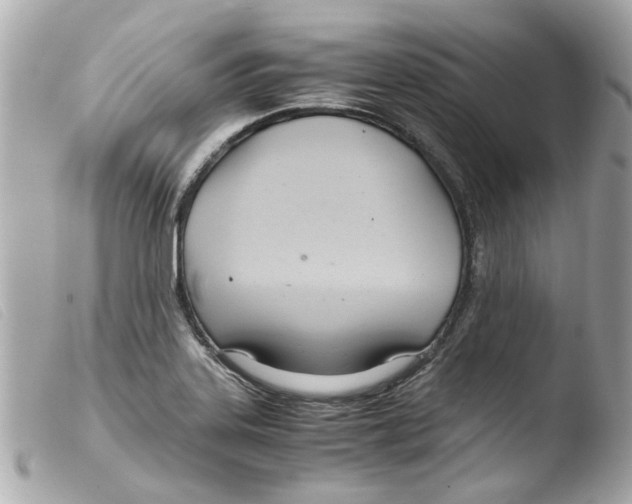 X0000103481323200810100950
