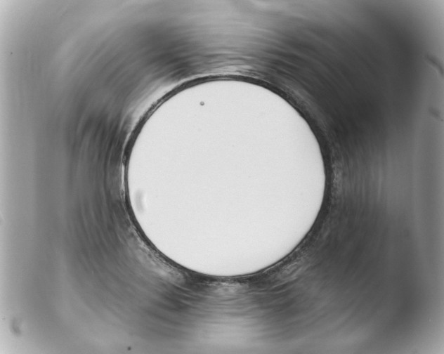 X0000103481324200810100950