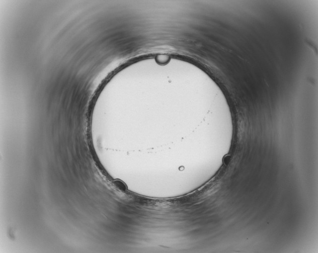X0000103481326200810100950