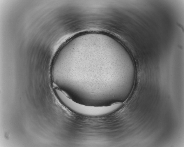 X0000103481327200810100950