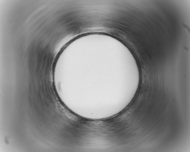 X0000103481328200810100950