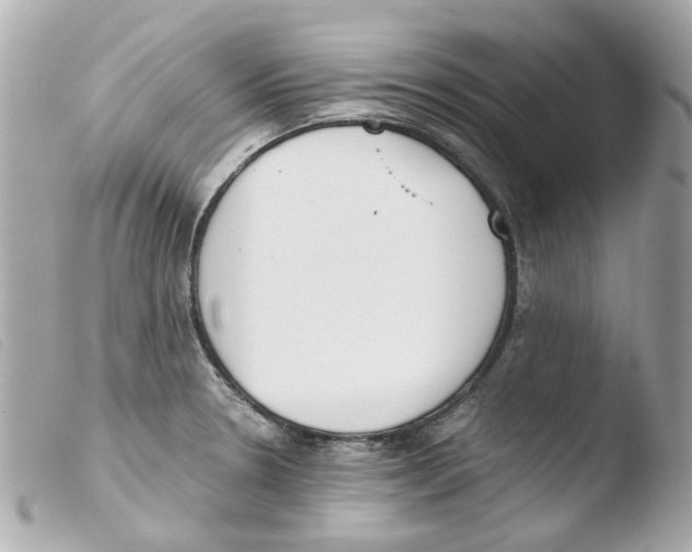 X0000103481330200810100950