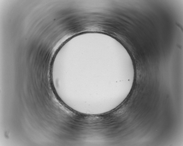 X0000103481331200810100950