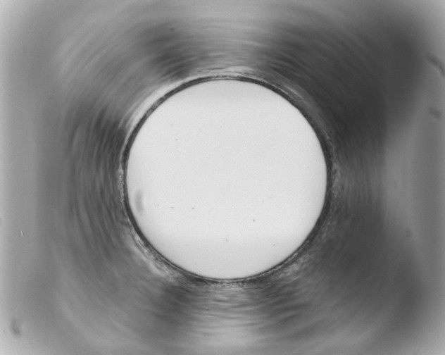 X0000103481332200810100950