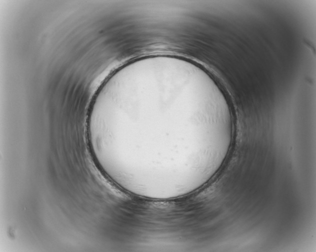X0000103481333200810100950