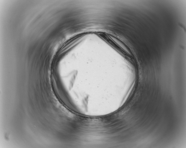X0000103481334200810100950