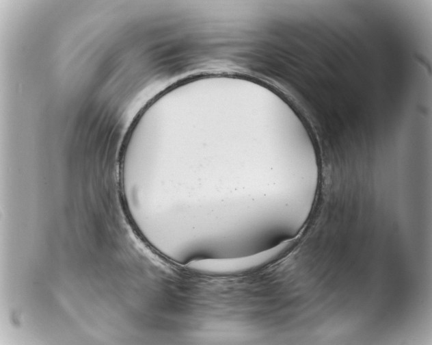 X0000103481335200810100950