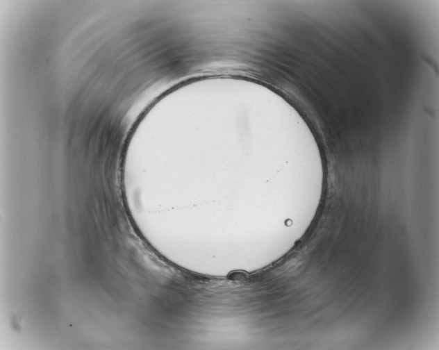 X0000103481336200810100950