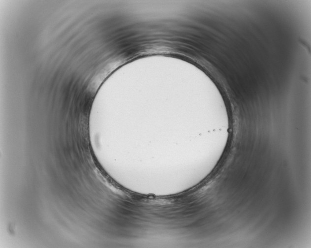 X0000103481337200810100950