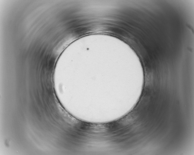 X0000103481338200810100950