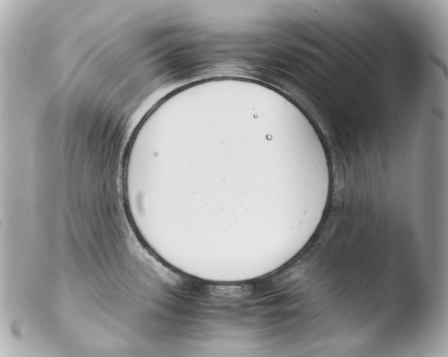 X0000103481339200810100950