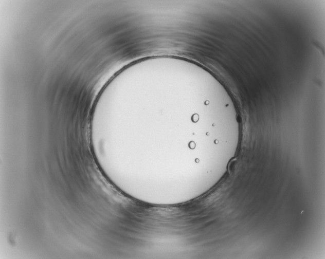 X0000103481340200810100950