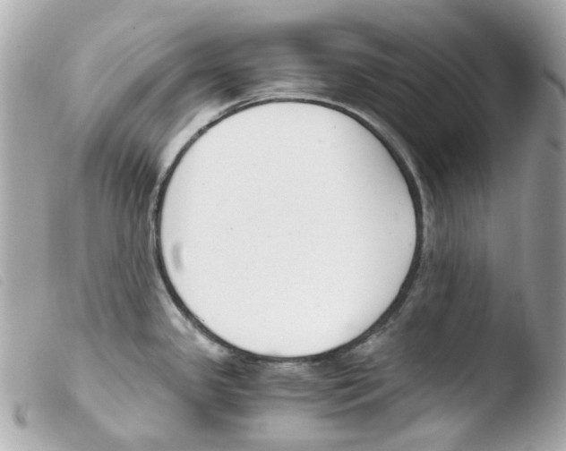 X0000103481341200810100950