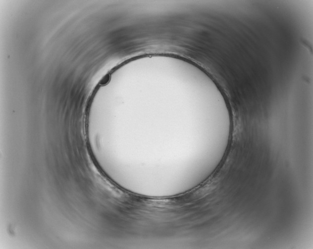 X0000103481342200810100950
